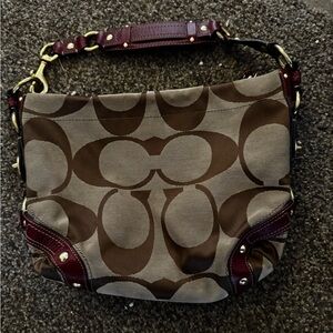 Coach Carly Hobo Bag
